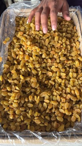 Dried Grapes, Brand Name : Freshtop, Taste : Sweet