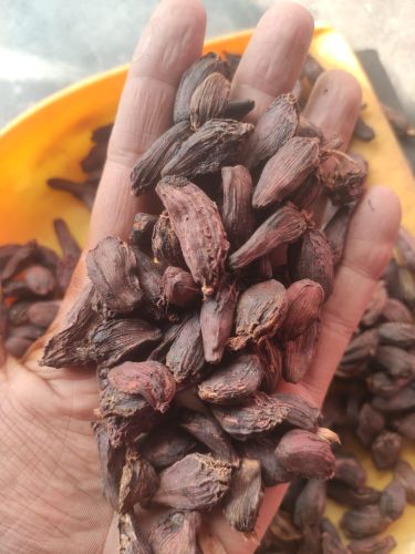 Natural Black Cardamom, Packaging Size : 25Kg, 50Kg