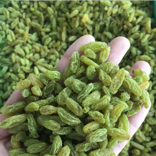 Dried Green Raisins, Taste : Sweet, Packaging Type : Plastic Packet