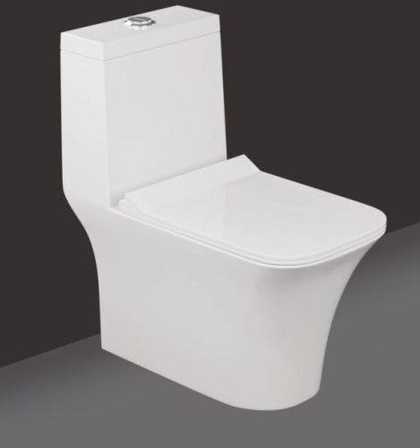 Dalunar Polished Ceramic Dl 101 Danton One-piece Western Commode