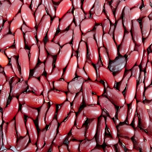 A Grade Red Rajma, Purity : 99.9%, Certification : FSSAI Certified