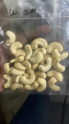 Plain / Graded Natural W240 Cashew Nuts, Brand Name : Natures Crates