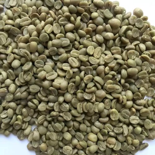 AA Grade Robusta Parchment Washed Coffee Beans