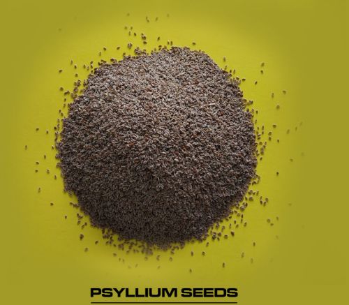 Psyllium Seeds