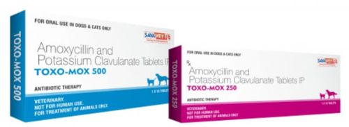 Toxo Mox 500mg Amoxycillin Potassium Clavulanate Tablets