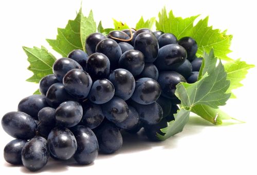 A Grade Fresh Black Seedless Grape, Packaging Type : Carton Box