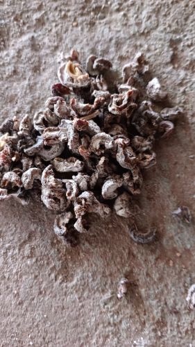 Amla, Color : Green, Grade : Food Grade for Cooking, Spices