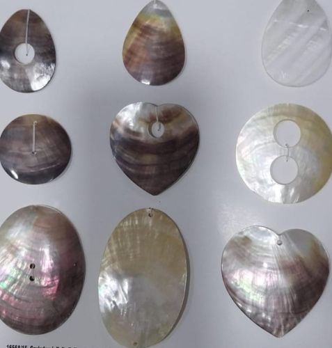 Mother OF Pearl Sea Shells for Jewellery, Decoration
