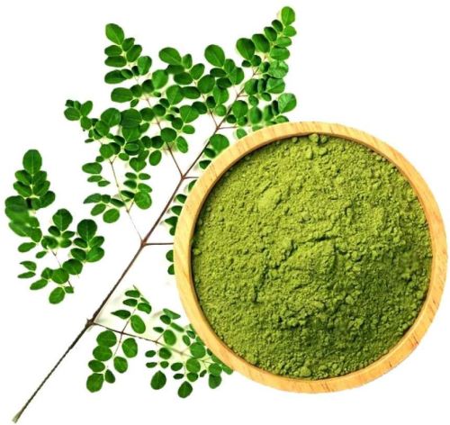 Organic Moringa Powder, Color : Green, Packaging Type : Bag