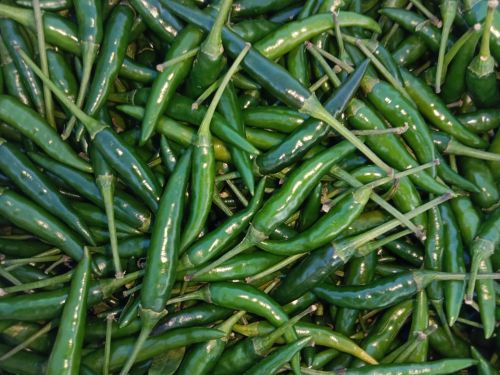 Green Chilli, Application : Cooking