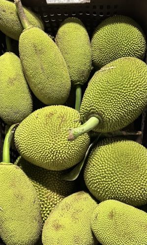 Green Jack Fruit, Cultivation Type : Natural for Cooking, Food