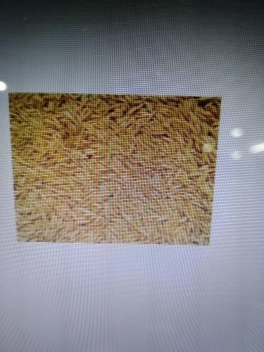 Dudhswar Paddy, Color : Brown, Packaging Size : 50Kg