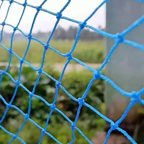 Plain Blue Colour Nylon Net for Gardening, Fishing, Crafting