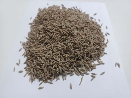 Black Cumin Seeds for Cooking