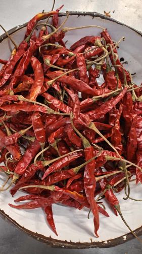 Dried Red Chillies