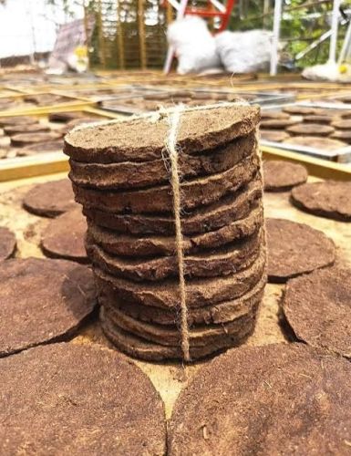 Cow Dung Cakes, Purity : 100% for h