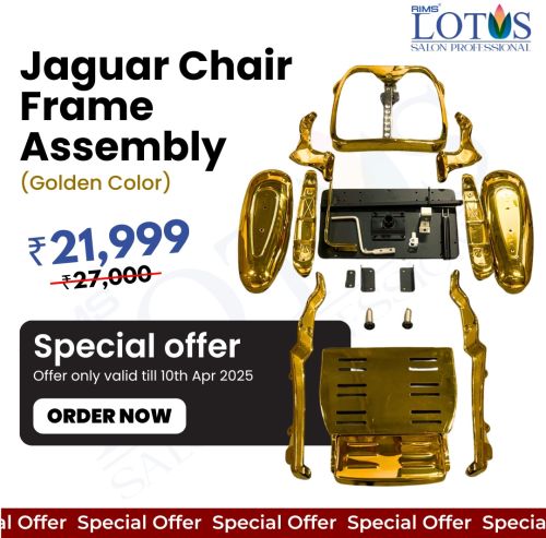 Jaguar Chair Frame Assembly (21pc/set) - Silver