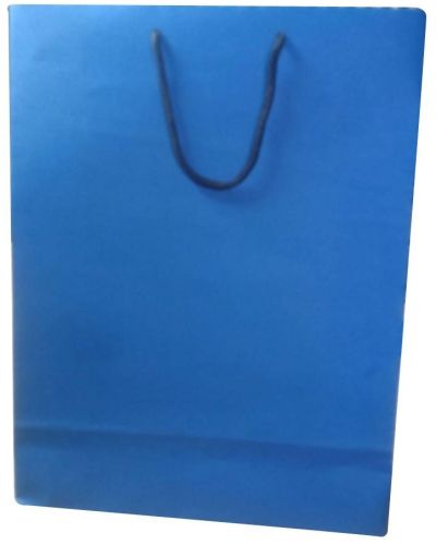 Blue Plain Paper Carry Bag