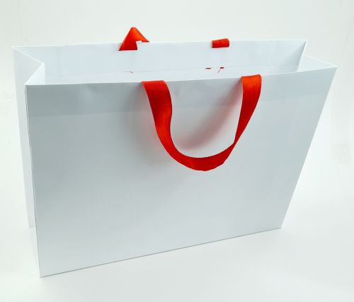 Paper Bag with Ribbon Handle for Gifting, Fashion