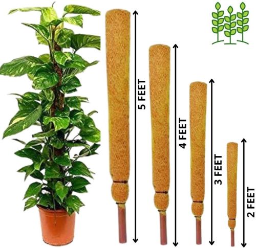 Coir Moss Pole Stick, Color : Brown 2 Inches, Length : 4 Feet