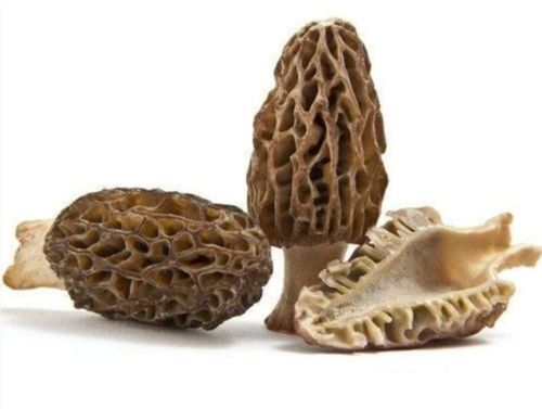 Brown Morel Mushroom Plastic Bag for Culinary