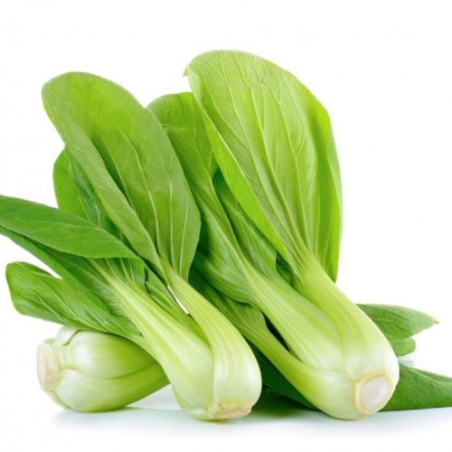 Green With White Stems Naturally Grown Fresh Bok Choy Leaves