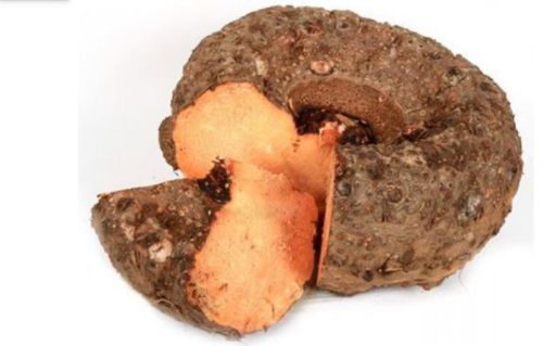 Fresh Foot Yam, Packaging Type : Mesh Bag Or Crate