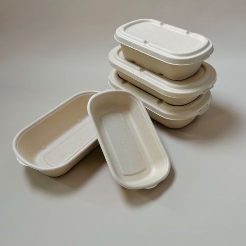 Biodegradable Sugarcane Bagasse Container with Lid for Food Storage