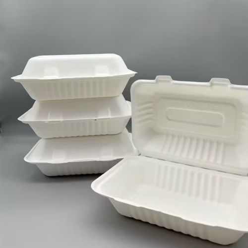 Sugarcane Bagasse Disposable Clamshell, Color : Natural Brown & White