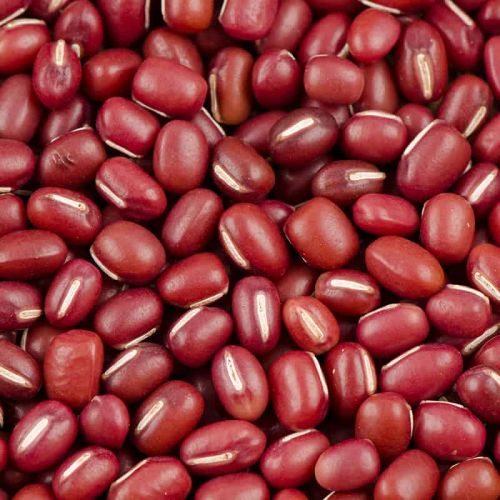 Red Organic Adzuki Beans, Packaging Size : 25Kg for Cooking