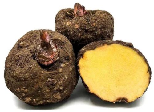 Fresh Elephant Yam, Color : Brown