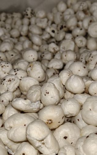 5 Sutta Phool Makhana Flakes for Human Consumption