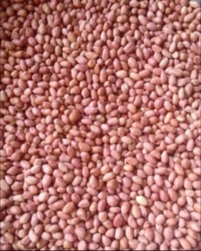 Whole With Skin Oil g20 Bold Groundnut Seeds for Cooking, Snacking