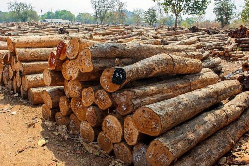 Indian Sandalwood Logs, Color : Brown, Grade : Premium Quality