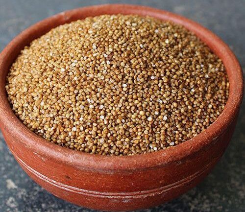 Organic Kodo Millet Seeds, Seed Type : Natural 10%