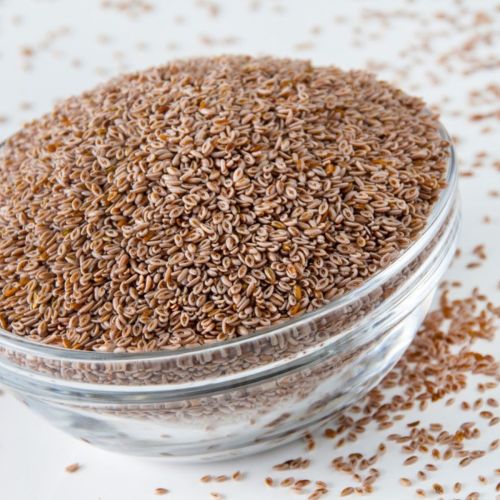 Brown Organic Psyllium Seeds, Seed Type : Natural for Medicinal Purpose