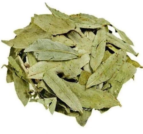 Senna Dried Leaves, Botanical Name : Cassia Angustifolia