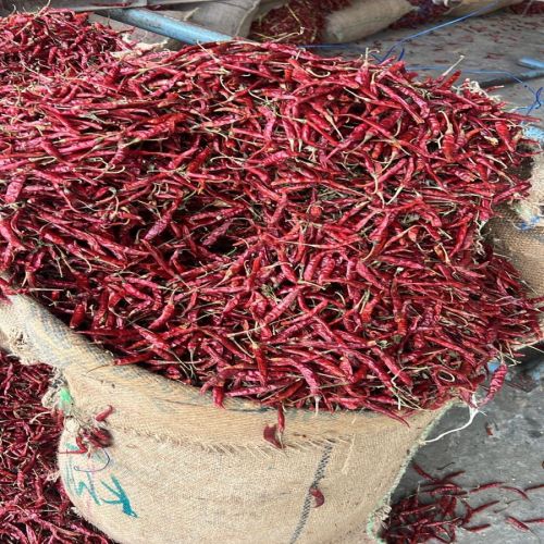 Dry Red Chilli, Quality Available : A Grade for Cooking, Spices