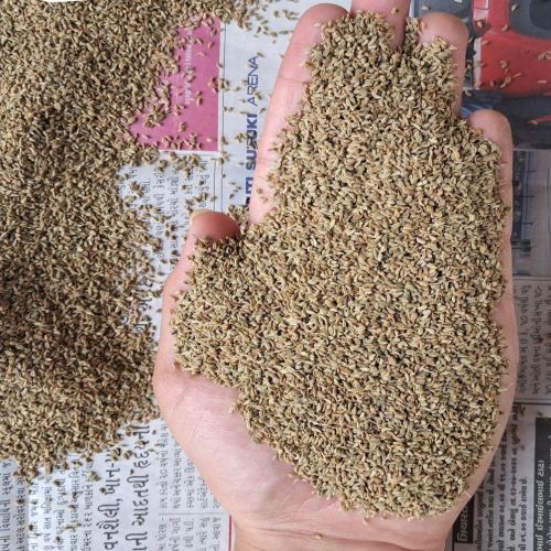 Whole Carom Seeds, Certification : FSSAI Certified