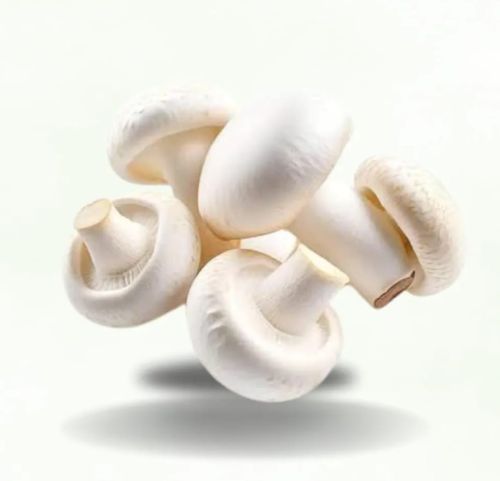 Farm Fresh White Mushroom, Packaging Type : Crate, Form : Whole