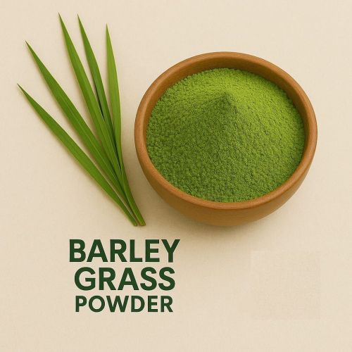 Green Barley Grass Powder, Packaging Size : 5-25kg