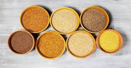 Millet Seed, Grade Standard : Food Grade for Cooking, Baking