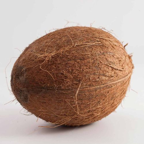 Soft Whole Dehusked Mature Coconut, Color : Brown