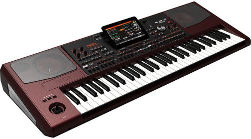 Plastic Korg pa1000 61-key Pro Arranger Keyboard for Music Use