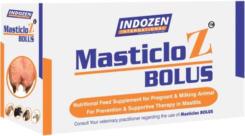 Masticloz Bolus, Color : White, Packaging Type : Box