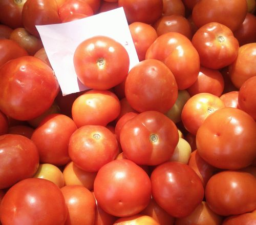 Fresh Red Tomato, Packaging Size : 10Kg, 25Kg, 50Kg