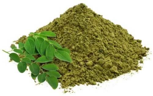 Moringa Powder, Storage : Store In A Cool, Dry Place