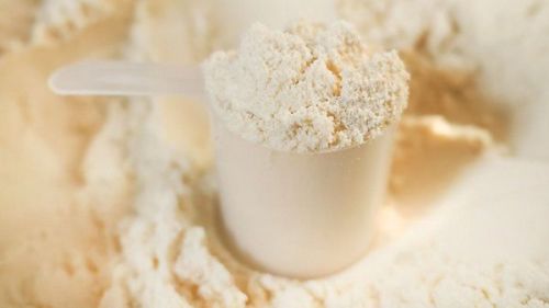 Whey Protein Powder, Color : Creamy White