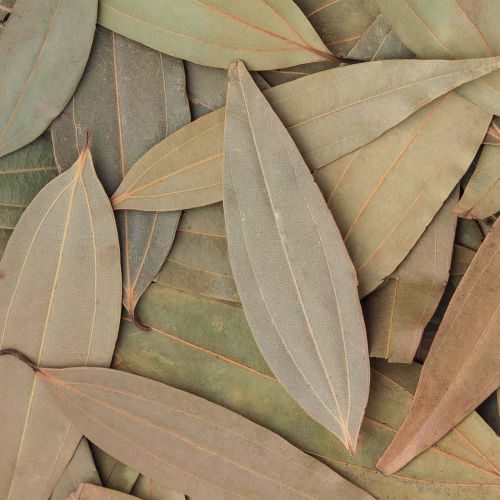 Dried Bay Leaves, Color : Green, Purity : 100% for Cooking