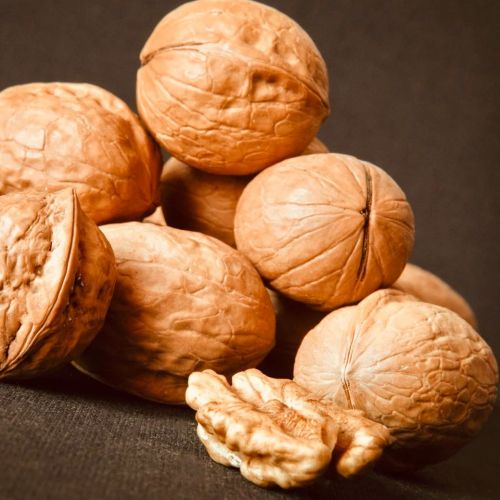 Hard Shelled Walnuts, Color : Brown, Purity : 100%